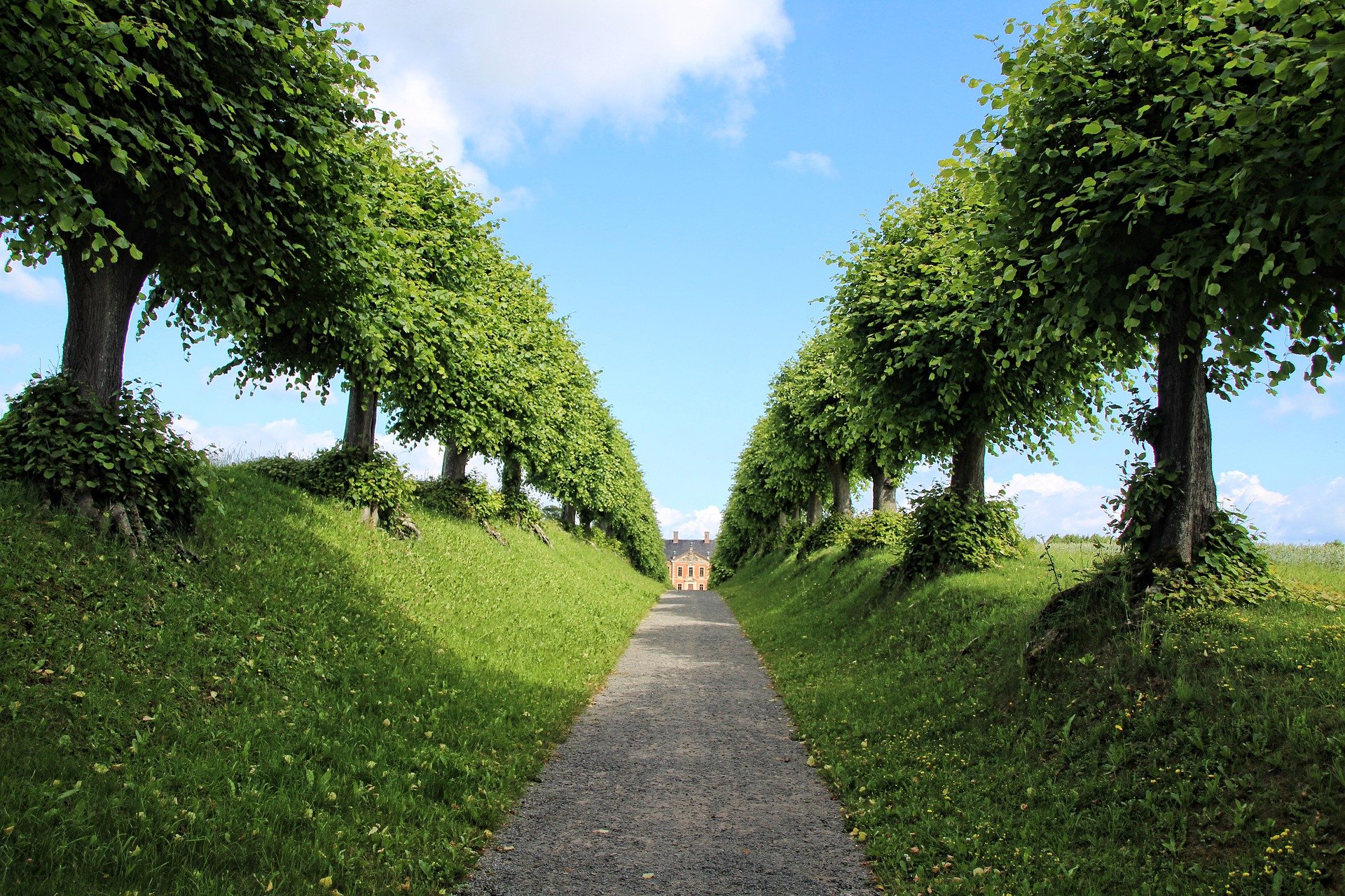 Assurance jardin