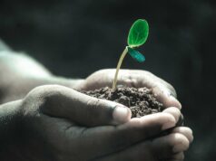 Assurance vie en banque